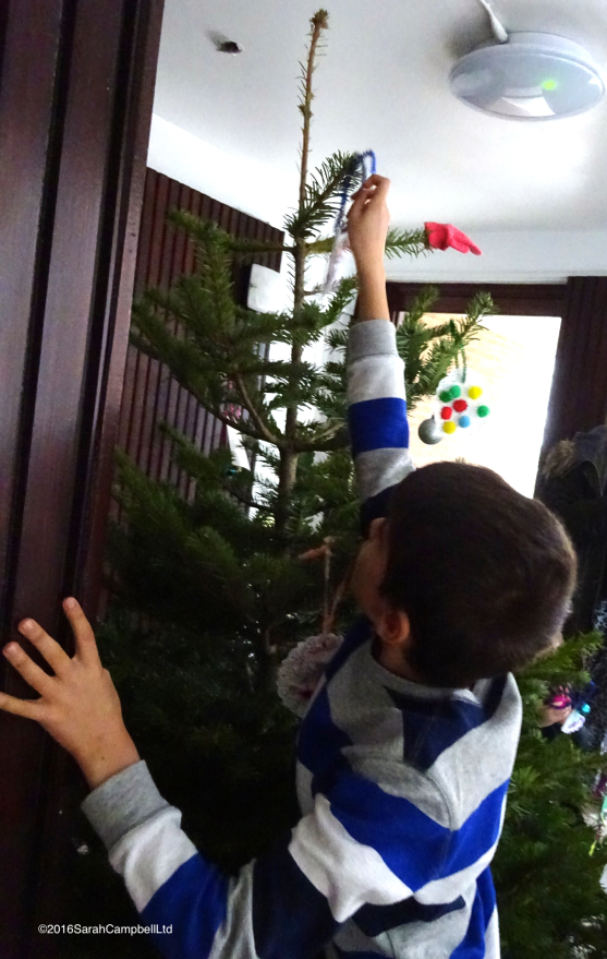 reaching-the-top-of-the-tree